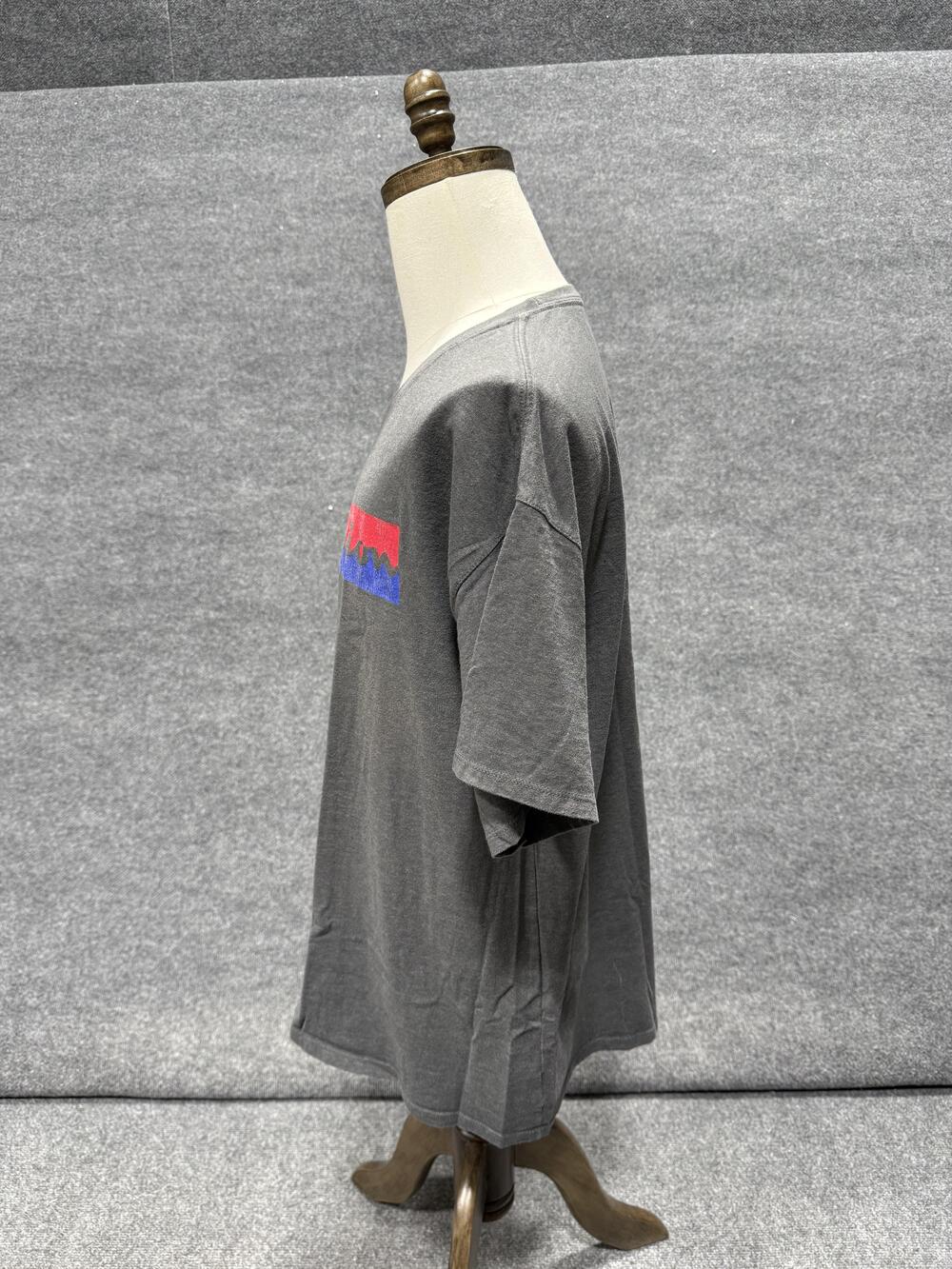Champion Shirt Mens XL Gray Red Blue Logo Graphic T-Shirt Tee Athleticwear - Picture 4 of 10